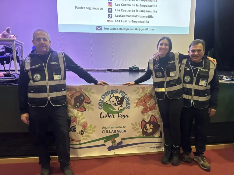 430086792 364372206566703 8973031290680586172 n 768x576