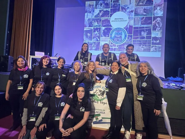 431864198 364372373233353 2386950410423594182 n 768x576