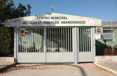 CMAAA logo 3