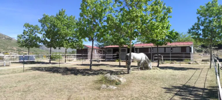 Finca Mazasti 2 768x346