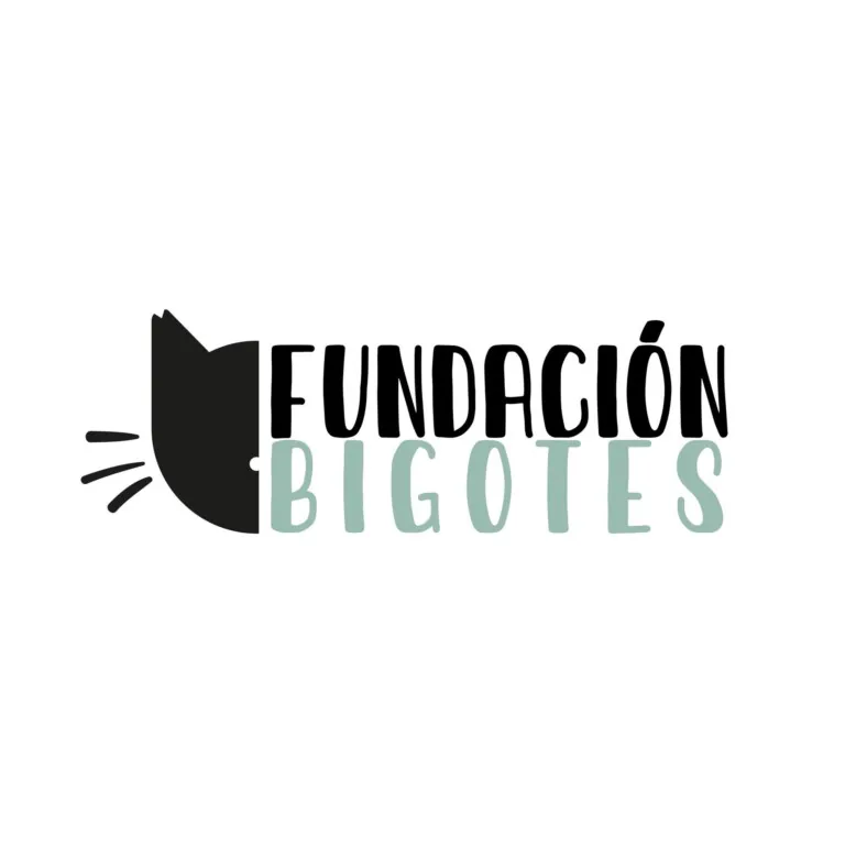 FundacionBigotes logo 768x768