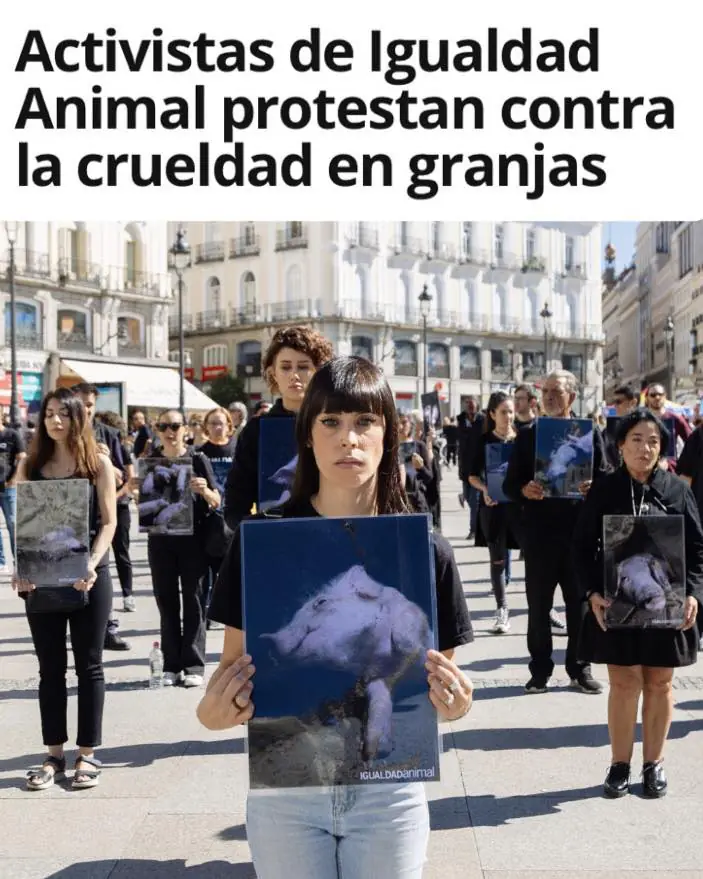 Igualdad Animal 6