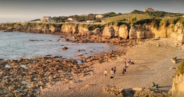 Playa canina El Rinconin 768x406