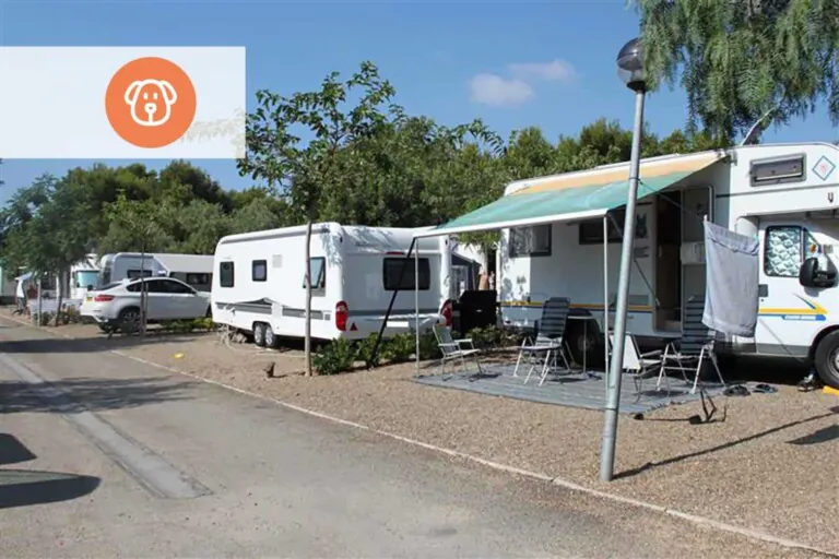 Alannia Costa Dorada 3 768x512