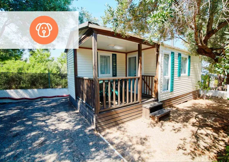 Alannia Costa Dorada 6 768x544