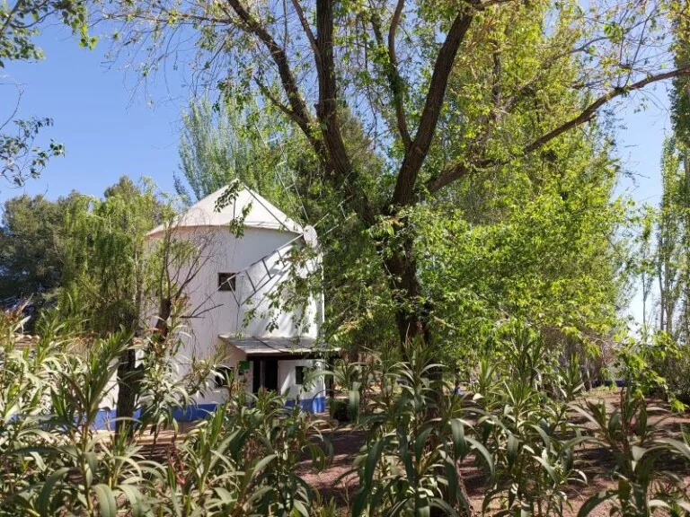 Arenales 2 768x576