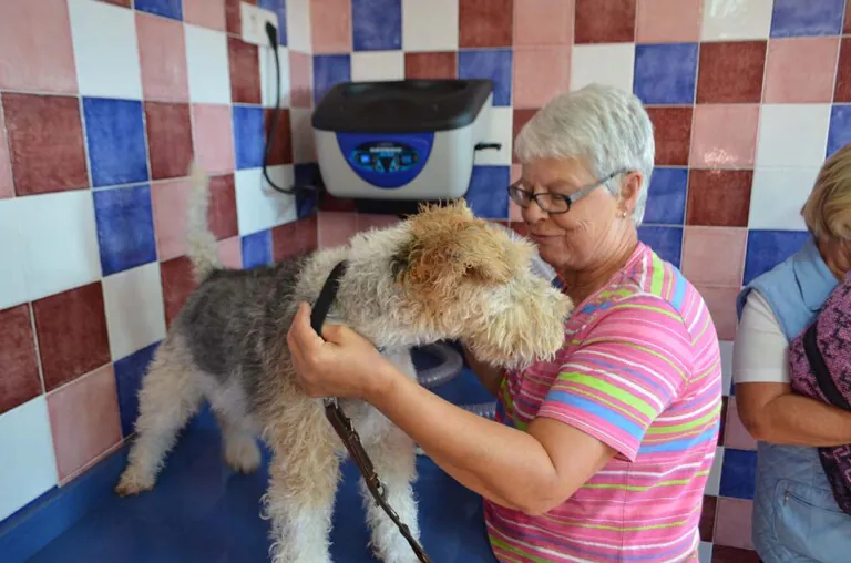 Bravoplaya 4 768x508