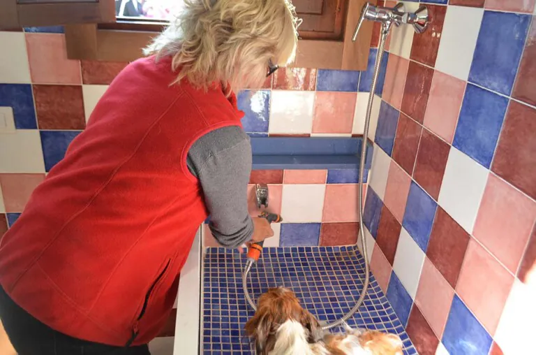 Bravoplaya 5 768x508