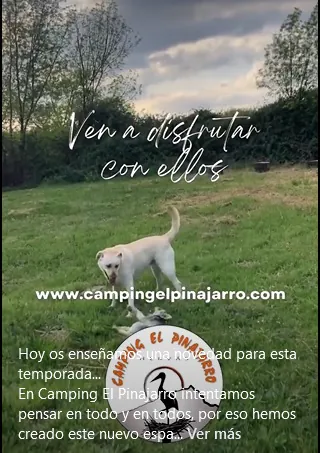 El Pinajarro 4