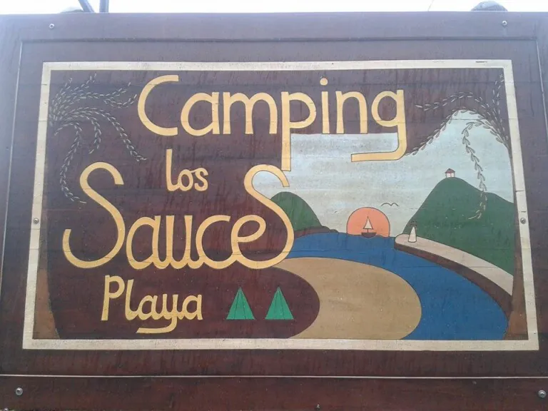 Playa Sauce 0 768x576
