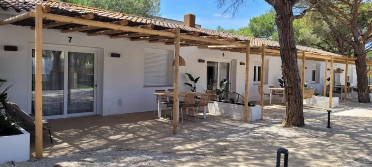 Delfin Verde Platja Pals 2 768x346