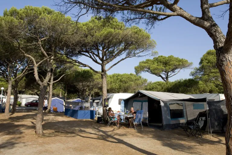 Delfin Verde Platja Pals 5 768x512