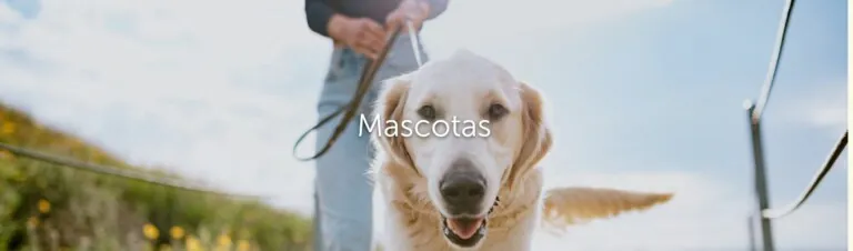 Delfin Verde Platja Pals 7 768x226