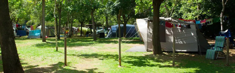 Ecologic Lava 2 1 768x240