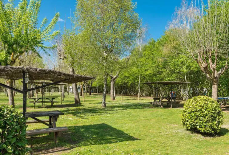 Ecologic Lava 5 768x520