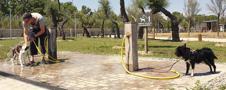 Rubina Resort 1 768x307