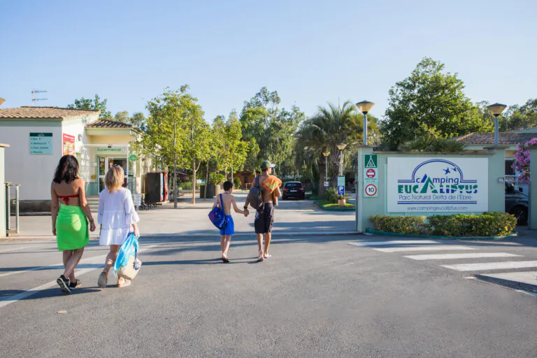 Eucaliptus 1 768x512