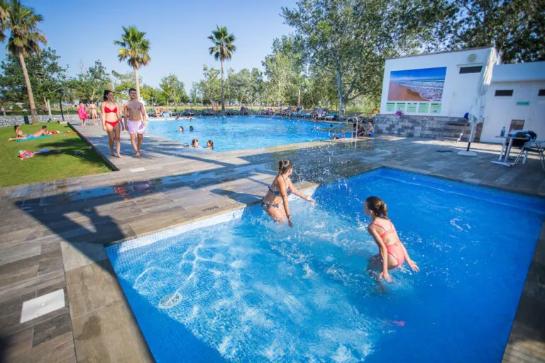 Eucaliptus 2 768x512