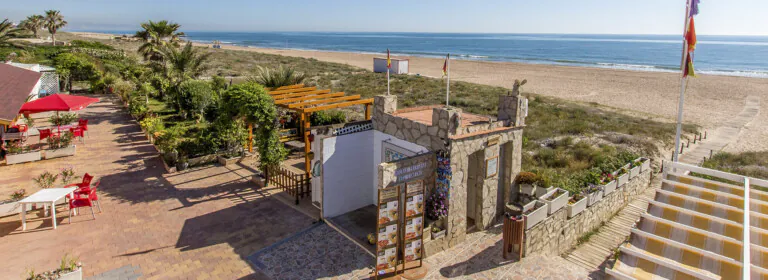 San Vicente 2 768x280
