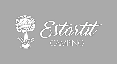 logo estartit 3