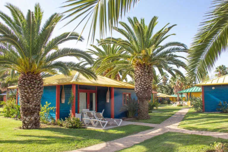 sanguli salou 2 768x512