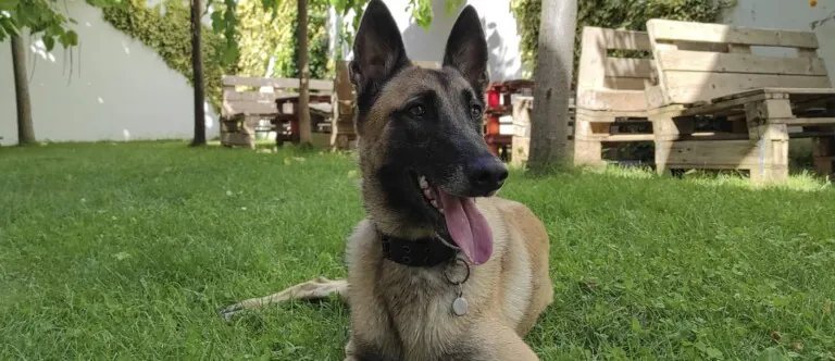 Eco Hotel Dona Mayor 2 768x332