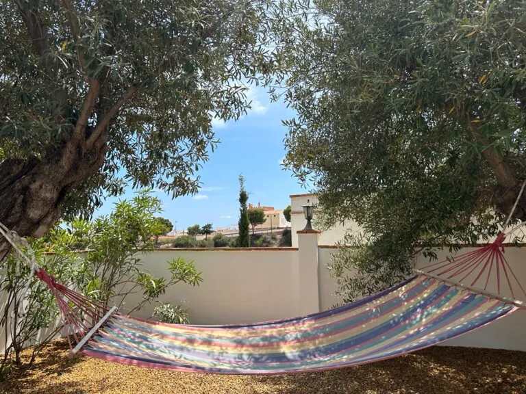 Oasis de las Palmeras 2 768x576