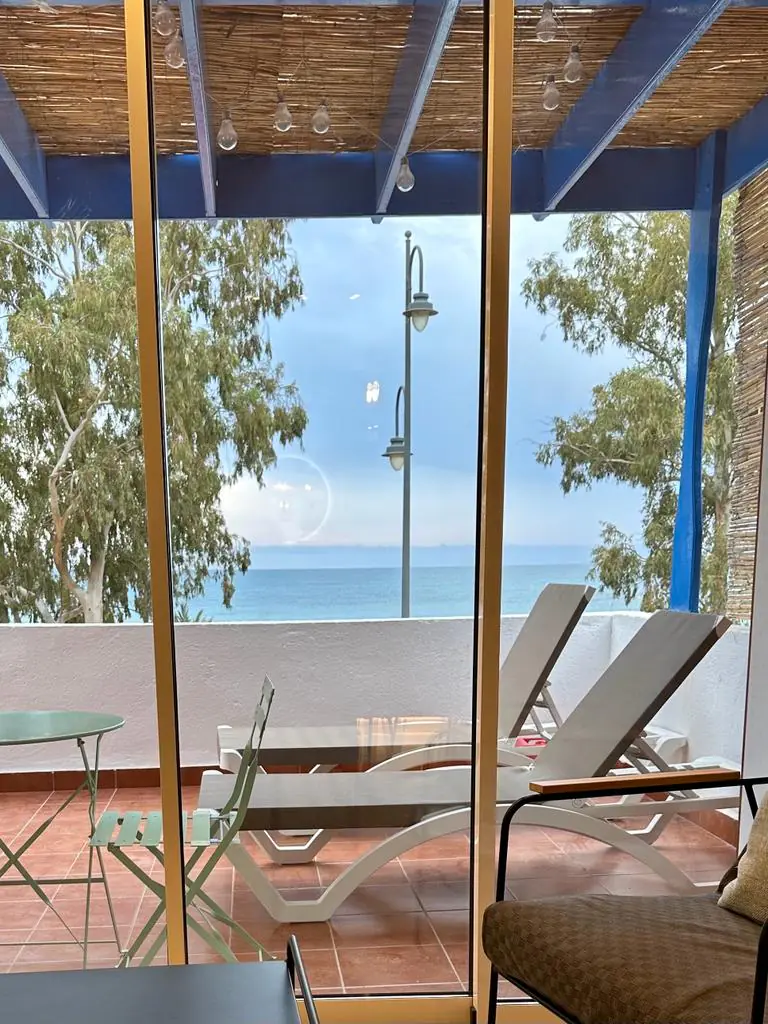 Oasis de las Palmeras 4