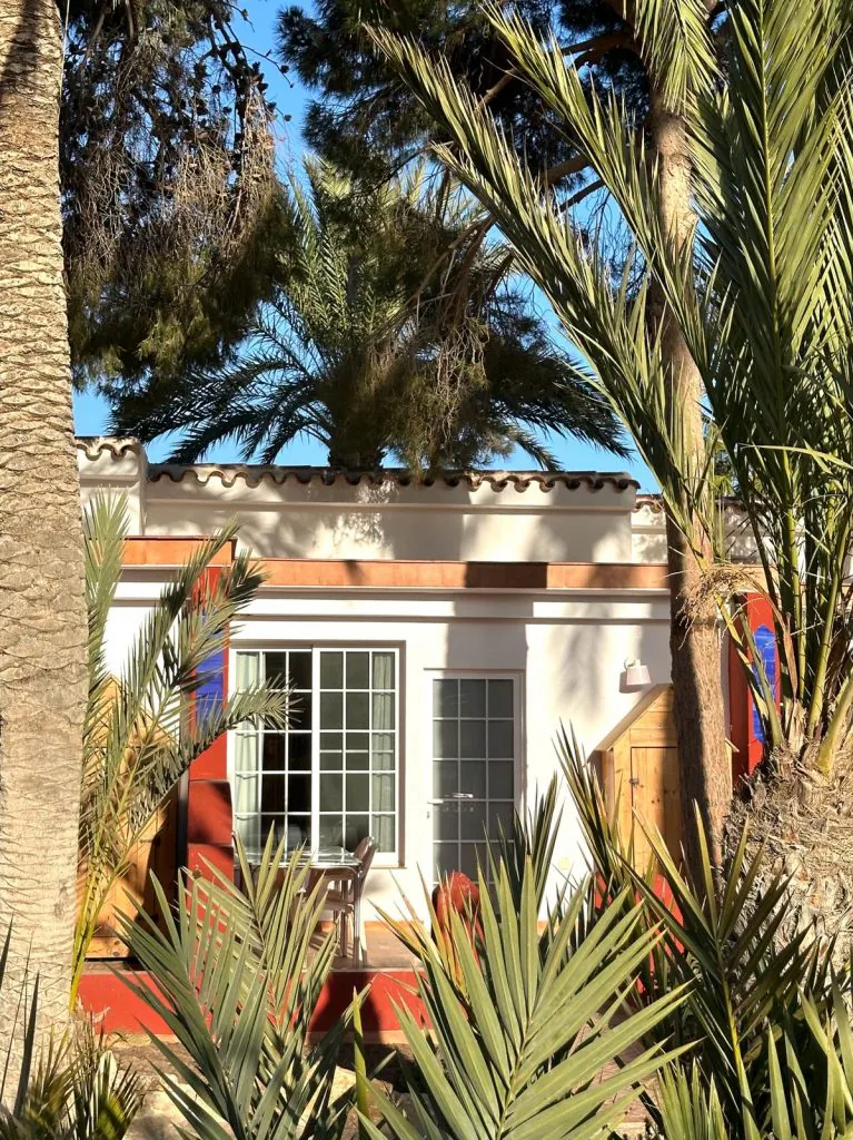 Oasis de las Palmeras 6