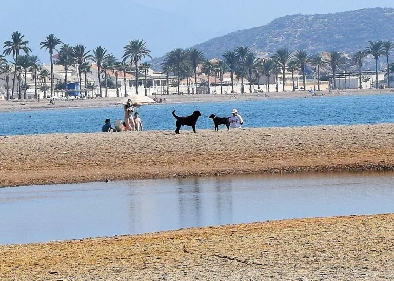 Playa de Las Moreras2 768x548