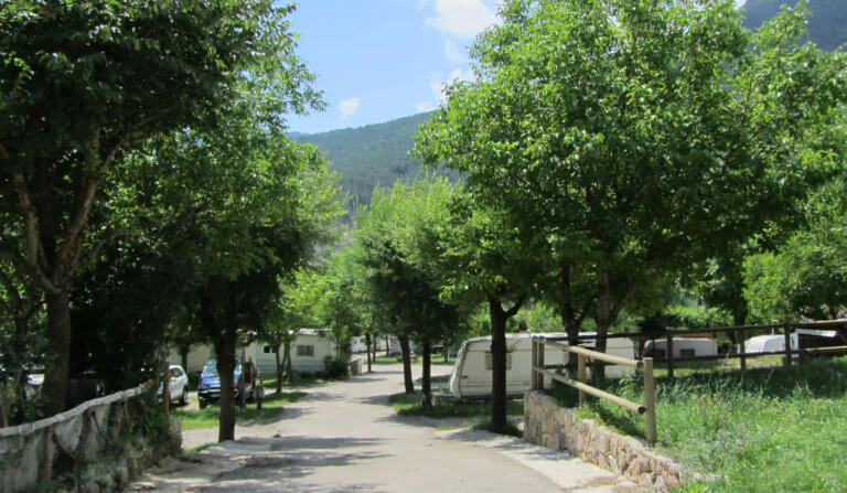 bastareny 5 768x447