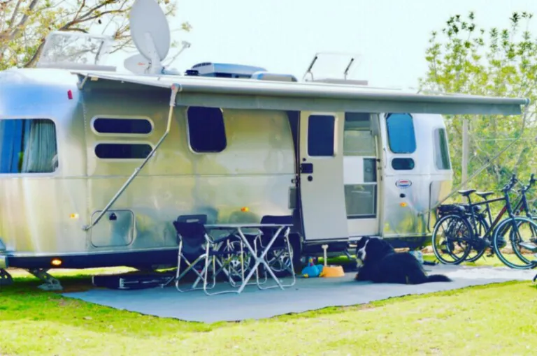 orangeraie 1 768x510