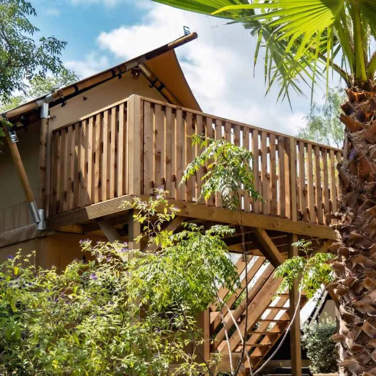 orangeraie 5 768x768