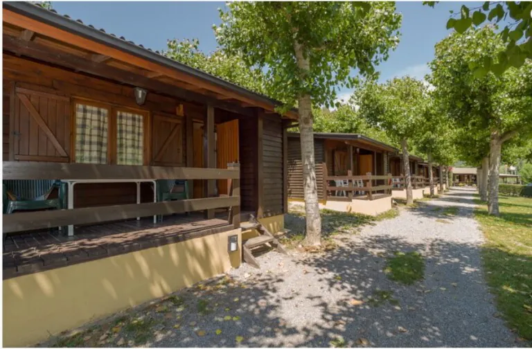 Jabali Blanco 2 768x504