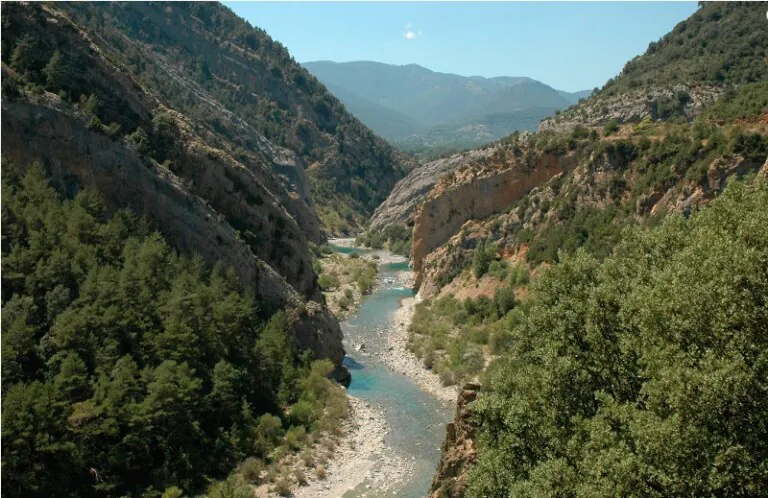 Jabali Blanco 3 768x498