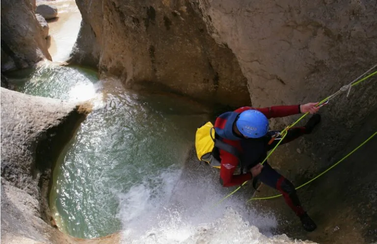 Jabali Blanco 6 768x497