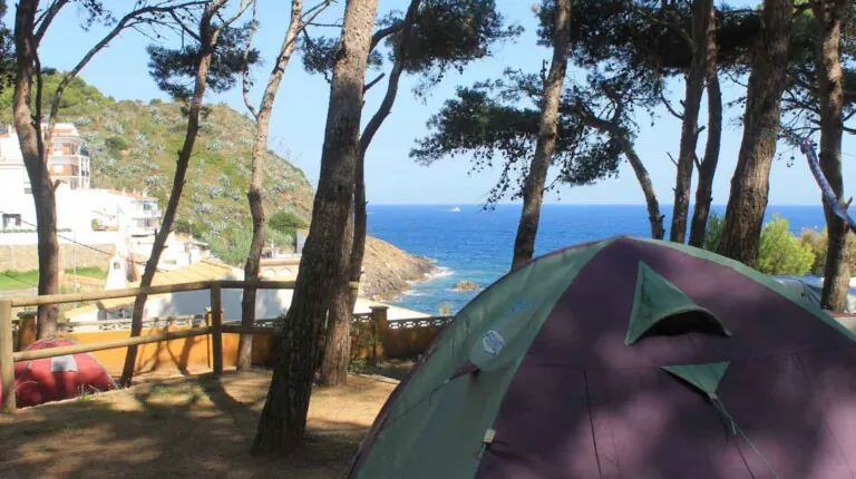 Palamos 2 768x430
