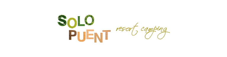logo solopuent 3 768x194