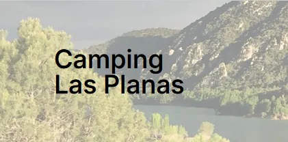Planas logo 1