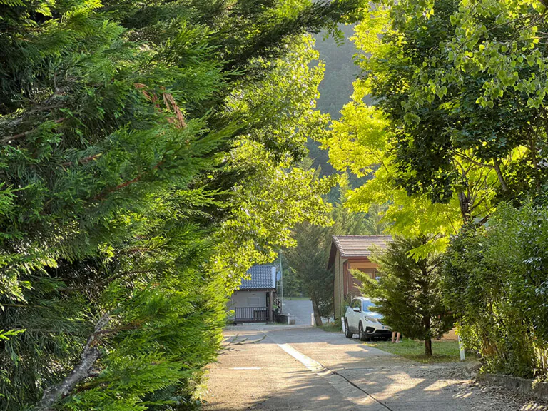 Valle Hecho 2 768x576