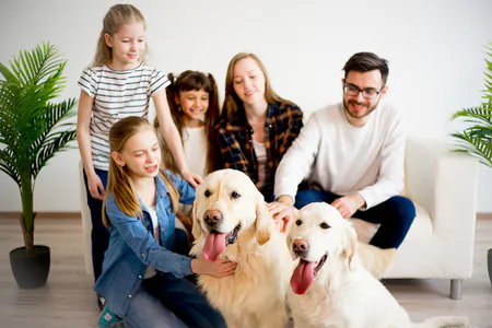 inmobiliaria pet friendly