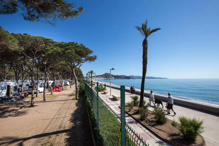 Blanes 4 768x512