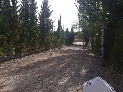 Cabanuela 5