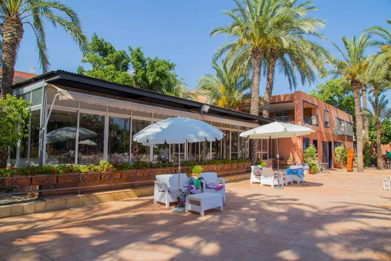 palmeras 1 768x512