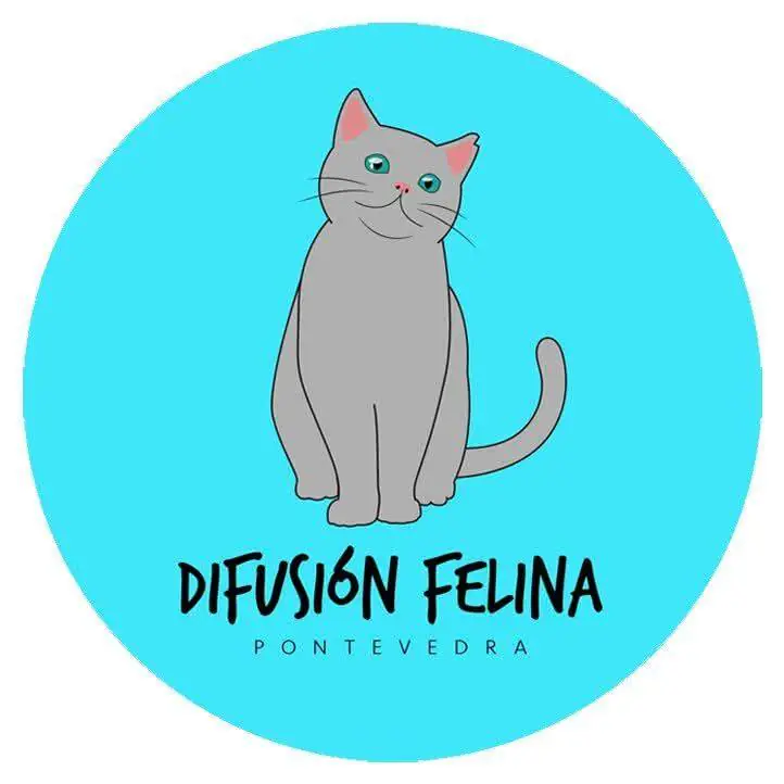 DifusionFelina logo