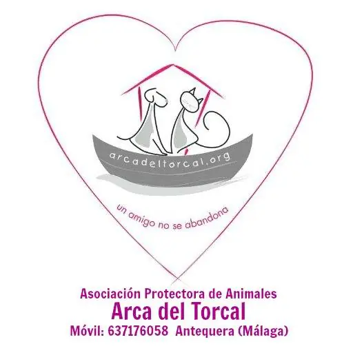ArcaDelTorcal logo 1