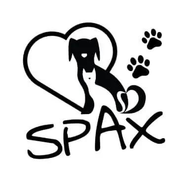 spax logo 1