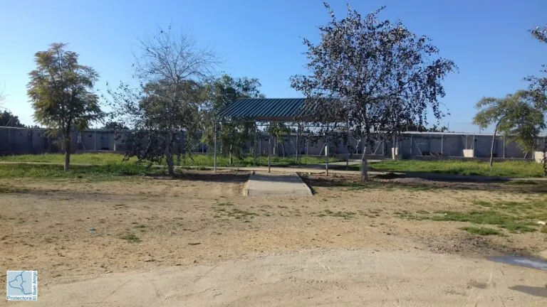ElBuenAmigo 6 768x432