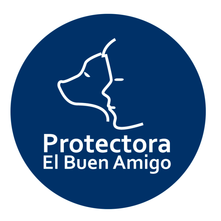 ElBuenAmigo logo 1 768x768