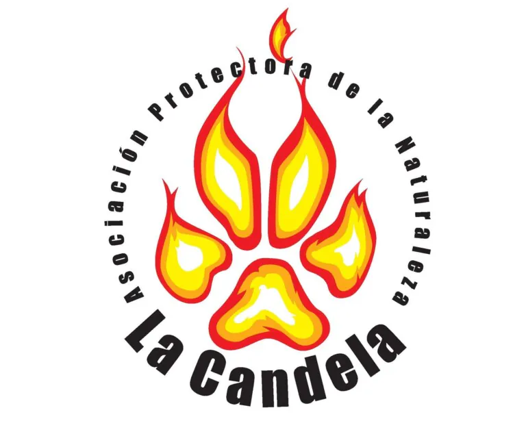 LaCandela logo 1 768x634